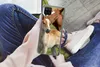 MuchoWow® Handyhülle Schutzhülle Hülle für Samsung Galaxy Produktbild-Vorschau 3