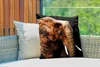 MuchoWow® Outdoor Kissen - Elefant - Tiere - Braun - 50x50 Produktbild-Vorschau 3