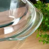 Close-up of a glass baking dish with greenery in the background. Podgląd zdjęcia produktu