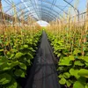 2 x 25 m Unkrautkontrollgewebe, 50m² Gartenvlies mit Produktbild-Vorschau 2