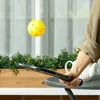 Sportnow SPORTNOW Pickleball-Set 4 Schläger, 4 Bälle, Produktbild-Vorschau 2