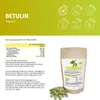 Betulin (Birkenrinden-​Extrakt), 360 Kapseln Produktbild-Vorschau 2