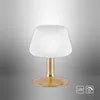 Stolní LED lampa PAUL NEUHAUS 4078-60 matná mosaz, 2,6 W, Náhled obrázku produktu 7