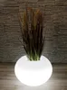 Moderner runder beleuchteter Blumenkübel 35x24 cm PL405S Produktbild-Vorschau 11