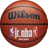 Wilson Palloni JR Nba Fam Logo Inout, WZ2009801XB Anteprima dell’immagine prodotto 1