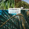 Kanarische Dattelpalme Samen (Phoenix canariensis) - Produktbild-Vorschau 4
