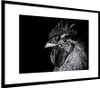 MuchoWow® MuchoWow® Gerahmtes Poster Hahn - Vogel - Schwarz Produktbild-Vorschau 7