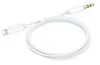 ENGELMANN Lightning auf 3,5mm AUX Audio-Kabel Produktbild-Vorschau 1
