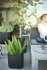 KETER Planter Wood Cube Planter - Rozmiar antracytowy. L Podgląd zdjęcia produktu 3