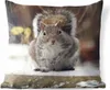 MuchoWow® Outdoor Kissen - Eichhörnchen - Wildtier - Winter Produktbild-Vorschau 1