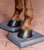 A horse's hooves are placed on two gray balance pads on a brick-like surface. Produktbild-Vorschau