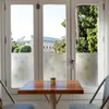 Statisch Fensterfolie 45x150 cm - Löwenzahn - Statische Produktbild-Vorschau 7