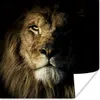 MuchoWow® Poster Löwe - Licht - Schwarz 50x50 cm - Produktbild-Vorschau 1