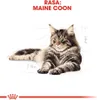 Royal Canin Feline Maine Coon - 2 kg Podgląd zdjęcia produktu 7