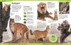 DK Kinderlexikon. Tiere Produktbild-Vorschau 5