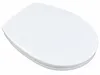 Asiento de inodoro Ramm, compatible con Villeroy & Boch Vista previa de la imagen del producto 3