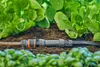 Gardena MDS Hahnanschluss 13 mm (1/2") - G 3/4" Produktbild-Vorschau 6