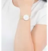 Daniel Wellington Petite Evergold Anteprima dell’immagine prodotto 2