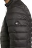 Tom Tailor Herren Steppjacke mit Wattierung Produktbild-Vorschau 6