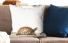 MuchoWow® Zierkissen Sofakissen Wohnzimmer Dekokissen 60x60 Produktbild-Vorschau 2