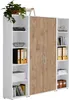 Aktenschrank TABOR 3 in weiß / Gold Harbor Oak, Produktbild-Vorschau 1
