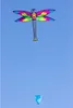 Kinderdrachen HQ Dragonfly Kite 102196 Regenbogen 100 x 76 Produktbild-Vorschau 4