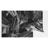 Coloray Fototapete 208x146 cm Vlies-Fototapete - Tropic Produktbild-Vorschau 4