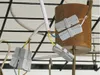 Wago 224-201 Terminale di servizio 0,5-2,5 mm² Terminale Anteprima dell’immagine prodotto 7
