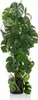 Emerald Künstliche Monstera 75 cm im Topf Produktbild-Vorschau 1