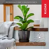 A potted plant sits on a wooden step, next to a folded blanket. Podgląd zdjęcia produktu