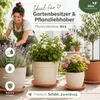 Podšálok pod kvetináč Mira terakota Ø 34cm - okrúhly Náhľad obrázku produktu 8