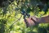 Fiskars 111960 Pro Gartenschere Produktbild-Vorschau 18