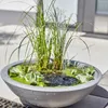 Solar Wassergarten LOTUSGARDEN inkl. Wasserspielpumpe und Produktbild-Vorschau 3