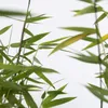 Close-up of bamboo leaves and stems against a white background. Produktbild-Vorschau