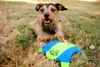 Chuckit FLYING SQUIRREL taglia M Anteprima dell’immagine prodotto 9