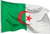 PHENO FLAGS Algerien Flagge 90 x 150 cm Algerische Fahne Produktbild-Vorschau 1