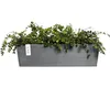 Ecopots Manhattan Wall 55 Vaso da fiori - L 55 cm x H 15,3 Anteprima dell’immagine prodotto 4