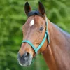 Waldhausen Grazing Halfter Blau Cob Blau Cob Produktbild-Vorschau 7