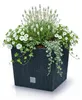 donica RATO LOW 40x40x41cm Antracyt rattan+wkład Podgląd zdjęcia produktu 11
