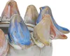 A close-up view of several ceramic bird figurines arranged in a planter. Produktbild-Vorschau