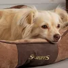 A dog lying in its bed. Podgląd zdjęcia produktu