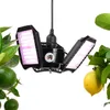 A black LED plant lamp with pink lights is shown, surrounded by green leaves and citrus fruits. Produktbild-Vorschau