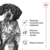 Royal Canin Medium Adult 20x140g Nassfutter in Soße für Produktbild-Vorschau 3