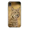 MuchoWow® Handyhülle Schutzhülle Hülle für iPhone XR Luchs Produktbild-Vorschau 1