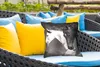 MuchoWow® Outdoor Kissen - Pferde - Tiere - Schwarz - Weiß Produktbild-Vorschau 4