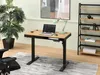 A modern office setup with a standing desk, laptop, lamp, and a plant. Podgląd zdjęcia produktu