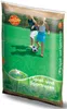 Pegasus Rasensaatgut Spiel + Sport 1 kg Produktbild-Vorschau 2