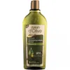 Dalan d Olive sprchový gel 400 ml – hydratační a vyživující Náhled obrázku produktu 3