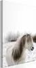 Italienischer Leinwand Leinwandbild - Horse Mane (1 Part) Produktbild-Vorschau 1