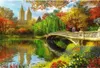 TREFL Holzpuzzle Central Park, New York 501 dlks Produktbild-Vorschau 2